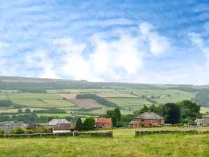 Photo 12- click for photo gallery